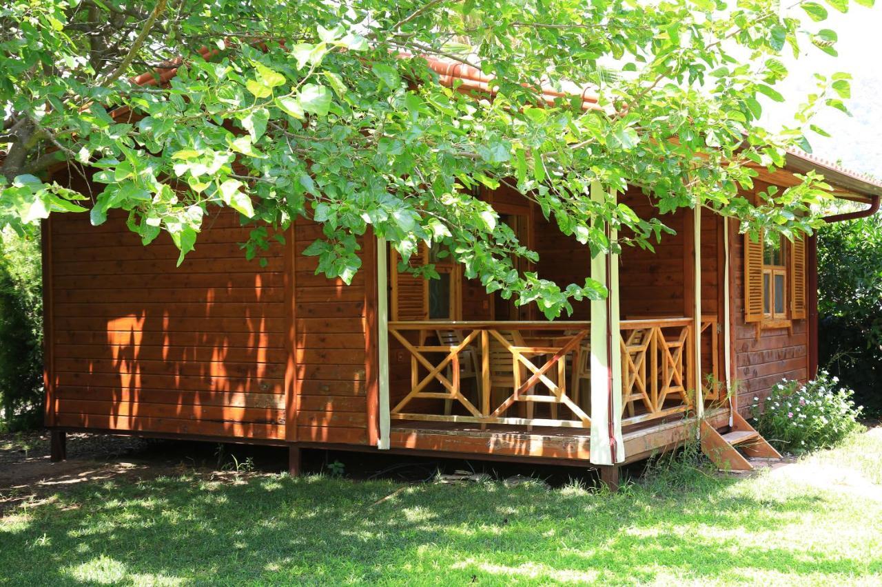 Çıralı Tunays Pansiyon Bed & Breakfast 部屋 写真
