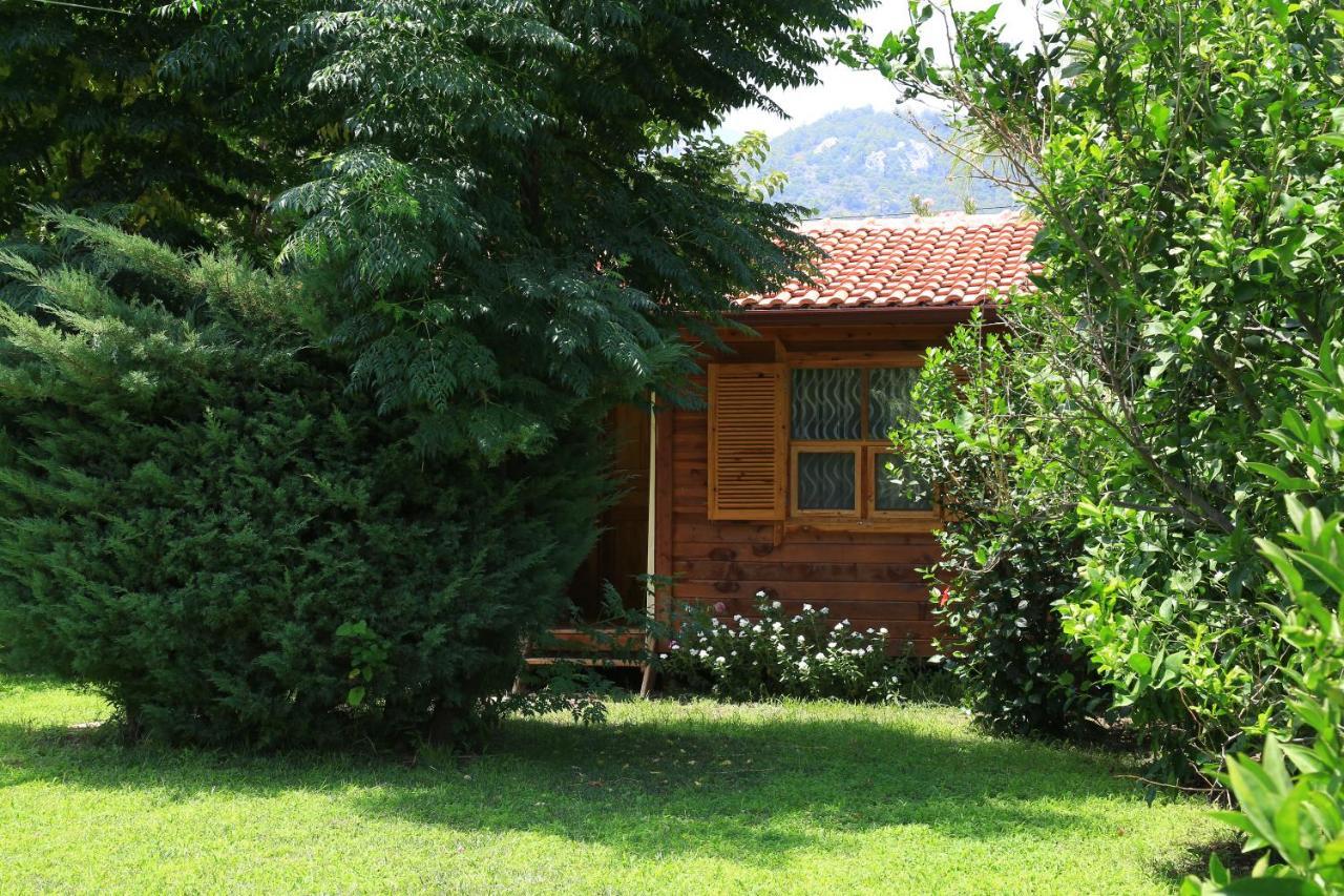 Çıralı Tunays Pansiyon Bed & Breakfast 部屋 写真