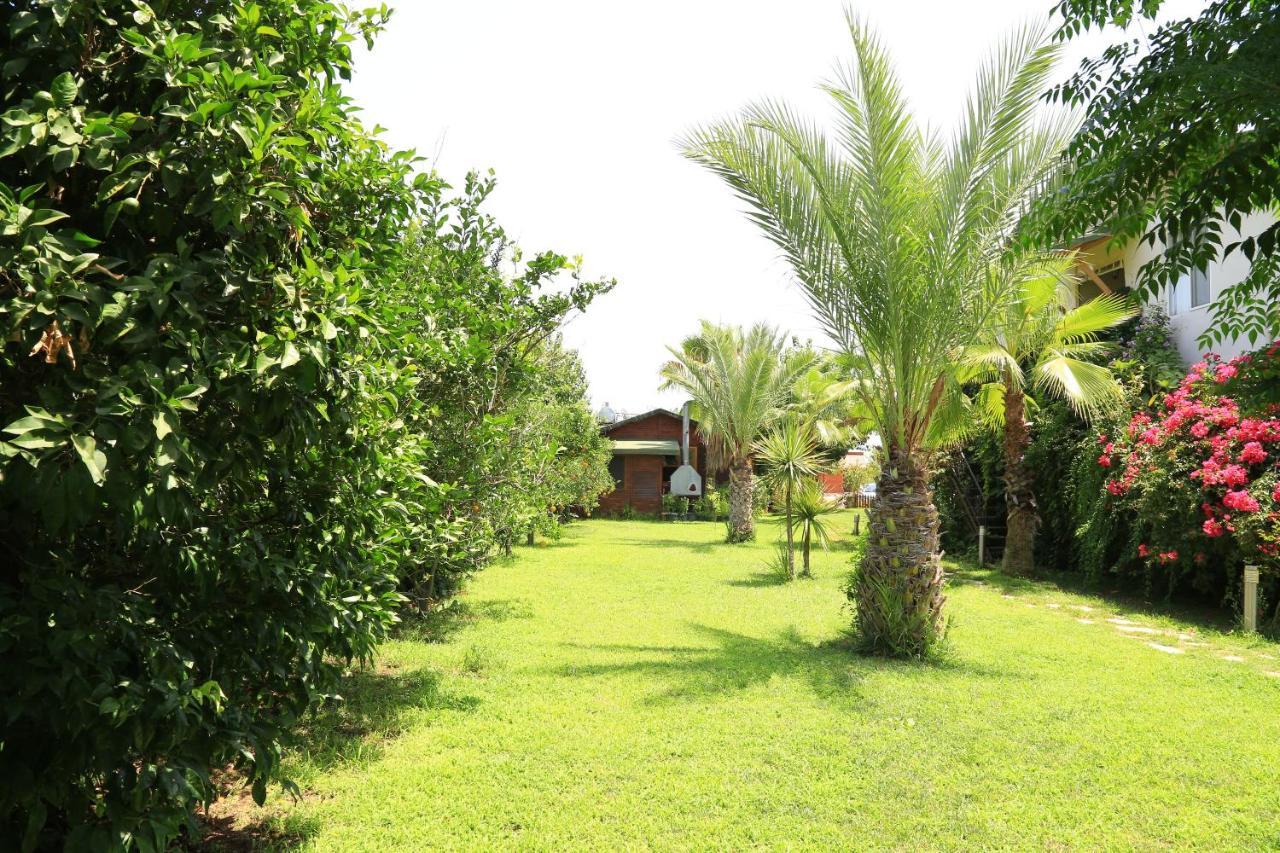 Çıralı Tunays Pansiyon Bed & Breakfast 部屋 写真