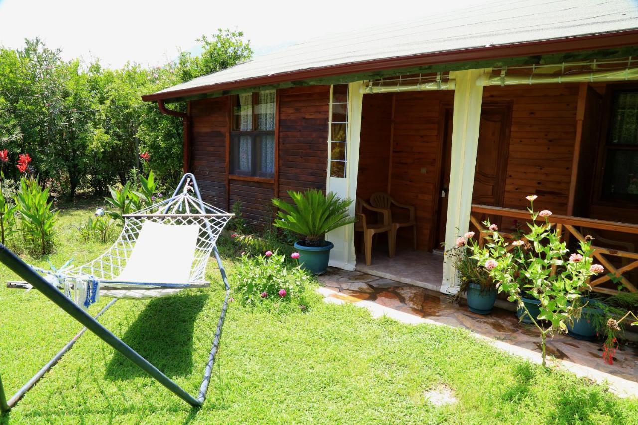Çıralı Tunays Pansiyon Bed & Breakfast 部屋 写真