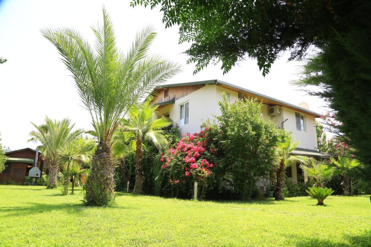 Çıralı Tunays Pansiyon Bed & Breakfast 部屋 写真