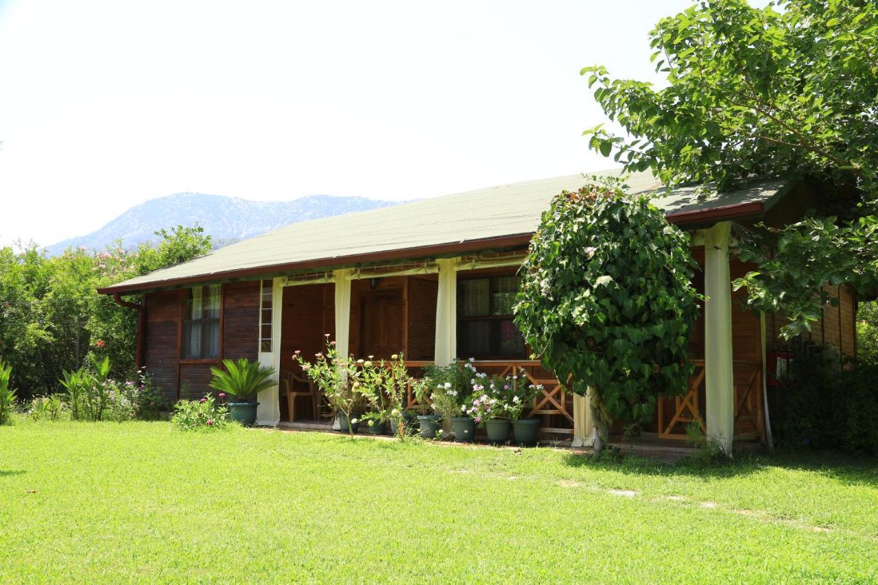 Çıralı Tunays Pansiyon Bed & Breakfast 部屋 写真